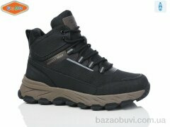 EeBb A1703-1, 630.00, 8, 36-41
