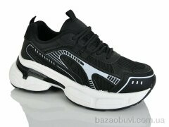Xifa XF01-H55-12, 485.00, 8, 36-41