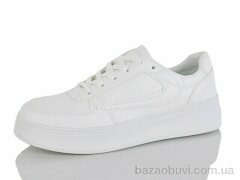 L.B. L805-1, 500.00, 8, 36-41