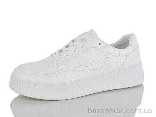 L.B. L805-1, 500.00, 8, 36-41