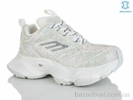 Teetspace-Trasta-Egga WDP1905-26, 35.00, 6, 36-40