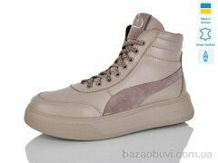 Carolina 2097-3, 800.00, 6, 36-40