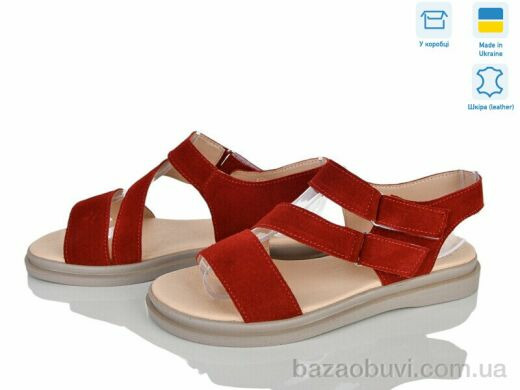Ailinda 4562-19, 790.00, 6, 36-40
