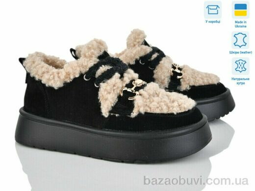 V.Arimany 1504 ч.з.ц., 31.00, 6, 36-41