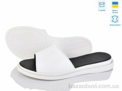 Ailinda 69502&ndash;8, 440.00, 6, 36-40