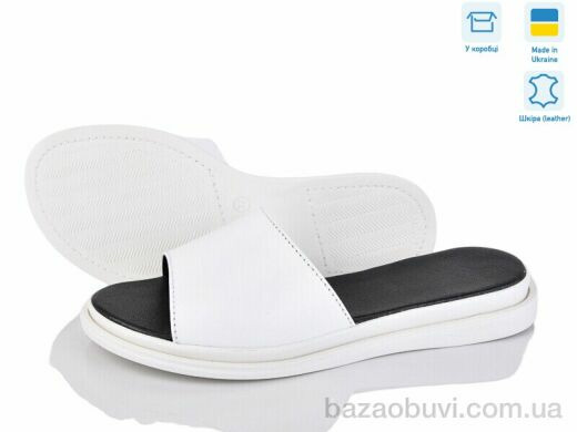 Ailinda 69502&ndash;8, 440.00, 6, 36-40