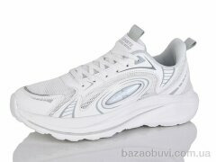 Ditof HA0069-1, 13.00, 8, 41-45