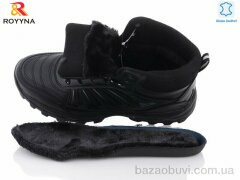 ROYYNA 062CB-6-43, 30.00, 8, 41-46
