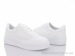 L.B. L805-1, 480.00, 8, 36-41