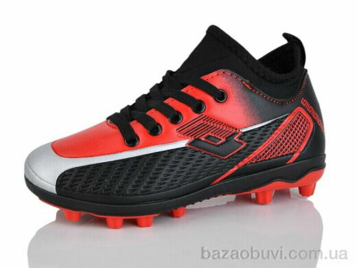 ASHIGULI C21-2, 380.00, 12, 31-36