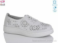 Gukkcr YK2036, 520.00, 8, 36-41