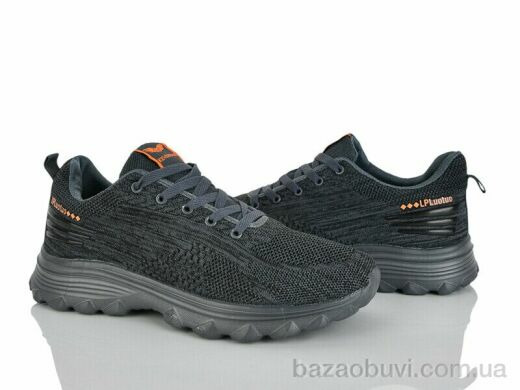 Lion-Lu A2323 grey, 400.00, 8, 43-47