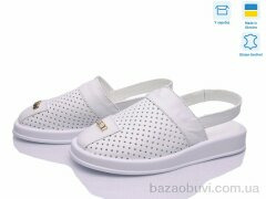 Ailinda 1309-8, 750.00, 6, 36-40