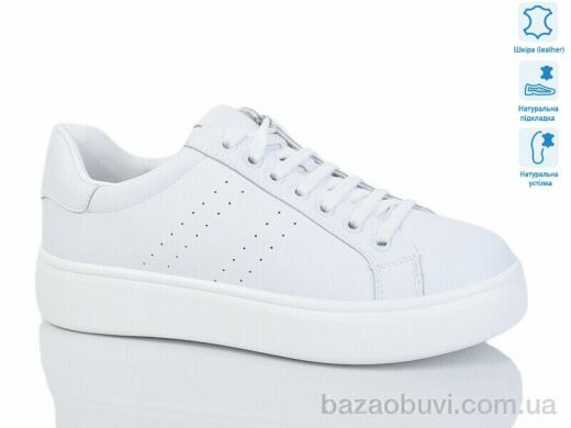 Purlina 4140-2, 450.00, 8, 36-41