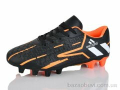 ASHIGULI C09-31, 440.00, 12, 36-41