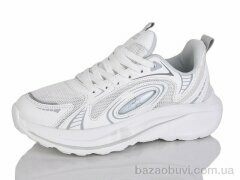 Ditof HB0069-1, 13.00, 8, 36-41