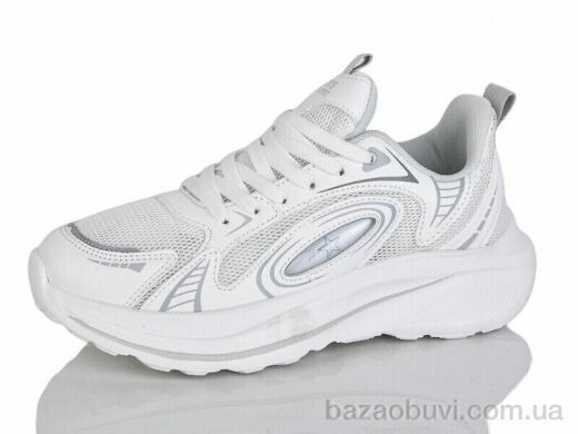 Ditof HB0069-1, 13.00, 8, 36-41