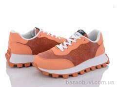 Violeta 149-30 orange, 480.00, 8, 36-41