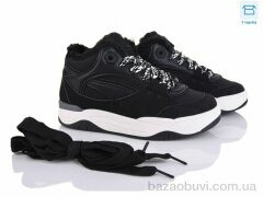 Xifa A81-5, 580.00, 8, 36-41