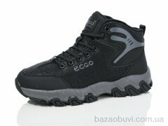 Ditof B23099-6, 19.00, 6, 36-41