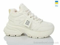 Swin 2804-2, 490.00, 8, 36-41