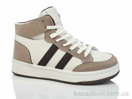 L.B. L1036-4, 600.00, 8, 36-41