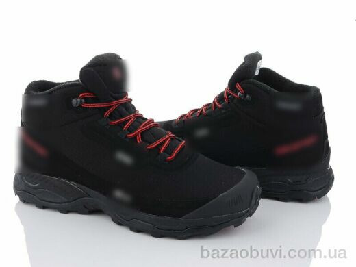 Violeta AA4015-2, 1550.00, 8, 41-46
