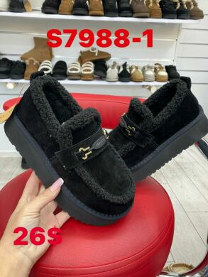 ITTS S7988-1, 26.00, 6, 36-40