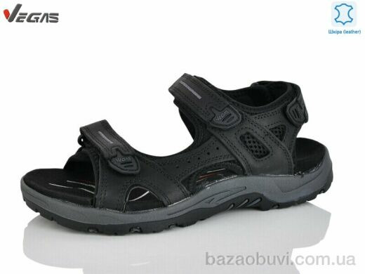 Supo-Vegas A503-1, 16.00, 8, 41-46