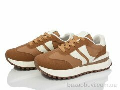 Захар-Gold NT0205-1, 350.00, 8, 36-41