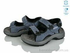 KIMBOO T61-2D, 580.00, 8, 27-31