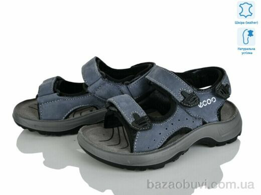 KIMBOO T61-2D, 580.00, 8, 27-31