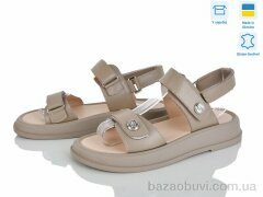 Ailinda 336-26A, 730.00, 6, 36-40