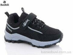 Башили A866-4A, 480.00, 8, 25-31