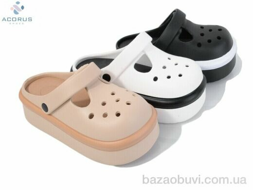 Acorus 24-115 mix, 290.00, 12, 36-41