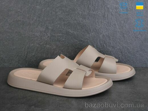Ailinda 893-26, 570.00, 6, 36-40