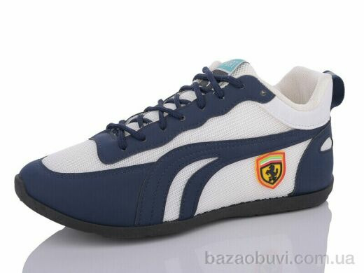 Lion SD1, 170.00, 8, 36-41