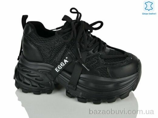 Teetspace-Trasta-Egga WDP2072-1, 37.00, 6, 36-40
