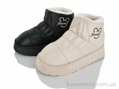 Lion-Lu JNG23 (12) mix, 350.00, 12, 36-41