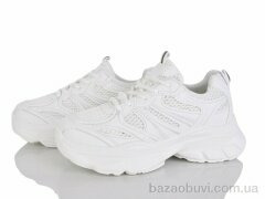 Loretta K511-1, 720.00, 8, 36-41