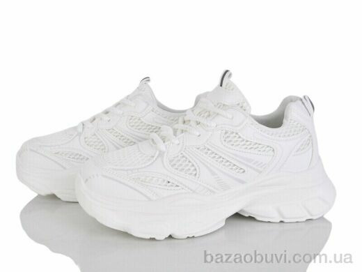 Loretta K511-1, 720.00, 8, 36-41