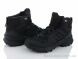 Violeta AA4045-1, 1580.00, 8, 41-46