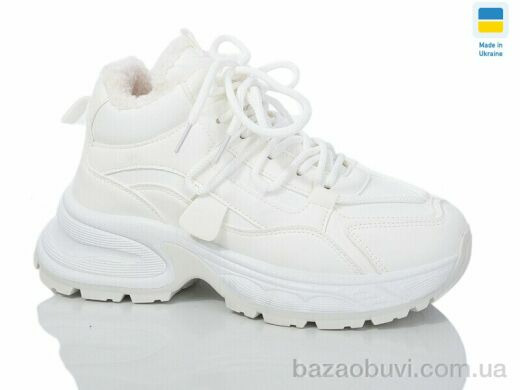 Swin 2805-3, 490.00, 8, 36-41