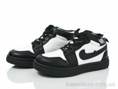 LQD T805-1, 280.00, 8, 31-36