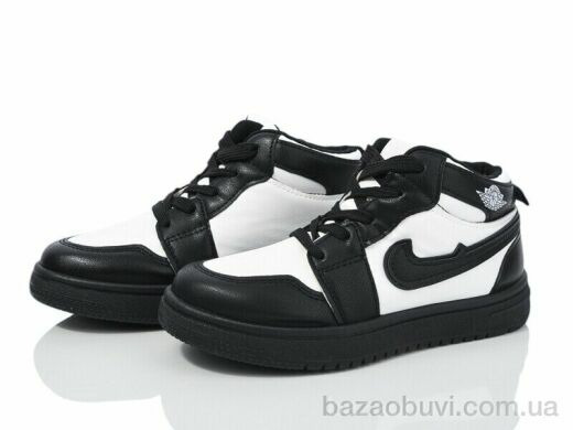 LQD T805-1, 280.00, 8, 31-36