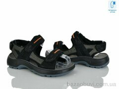 KIMBOO T65-3A, 540.00, 8, 32-37