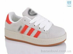 Lilin B826-34, 490.00, 8, 26-31