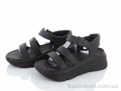 Violeta W412-21 coffee, 120.00, 8, 36-41