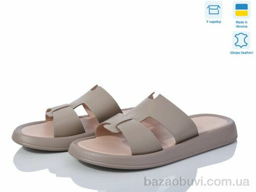 Ailinda 893-26, 570.00, 6, 36-40