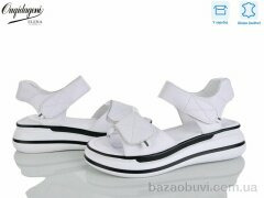 Dageni F2036-2, 650.00, 8, 36-41